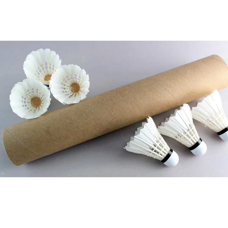 Badminton Logo - Custom Logo Goose Feather Club Training
