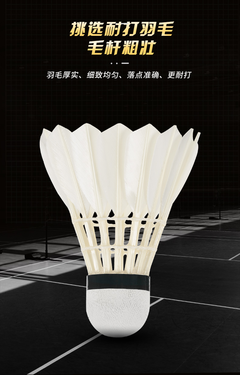 New 12PCS Professional Badmint - Badminton Victor recension och pris