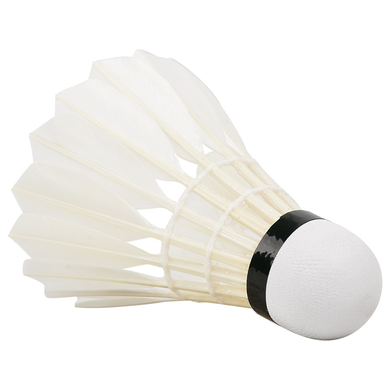 New 12PCS Professional Badmint - Badminton Victor recension och pris