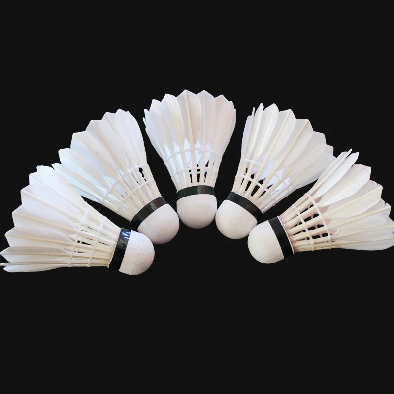 Custom Logo Goose Feather Club - Badminton Logo recension och pris