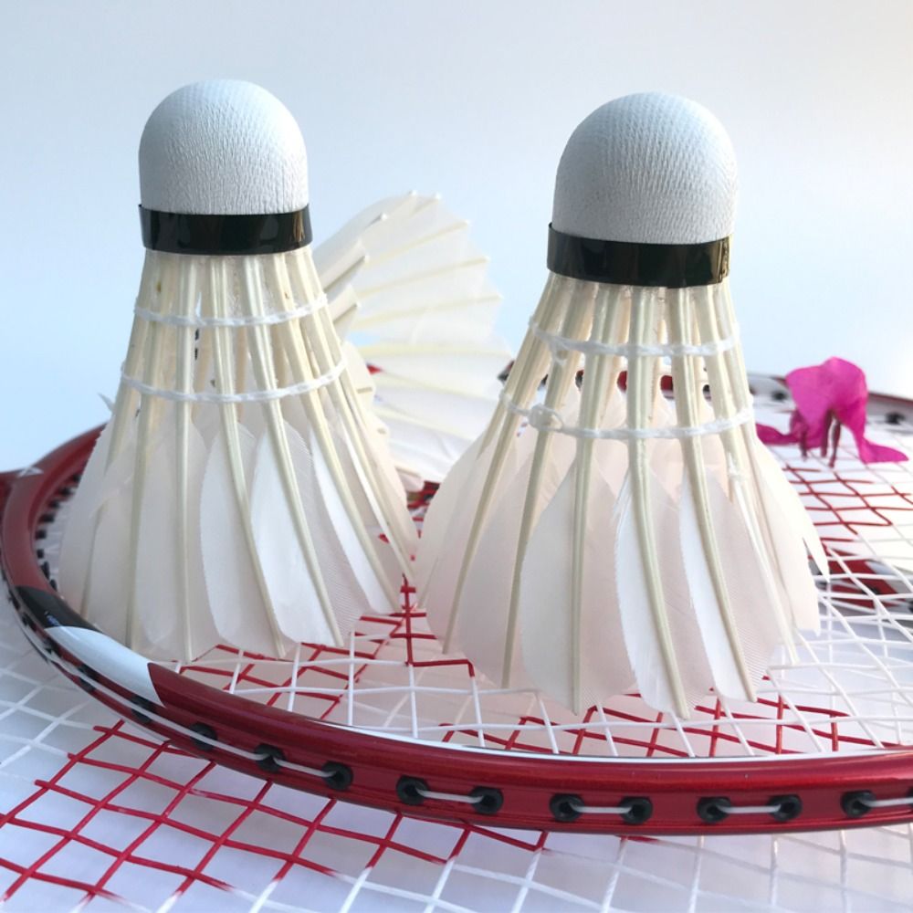 3/6/12Pcs New White Badminton  - Badminton Victor recension och pris